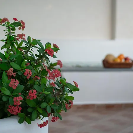 Villa L'eros Grandma's House