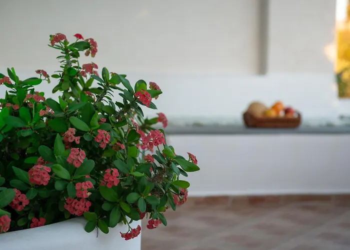 فيلة L'eros Grandma's House